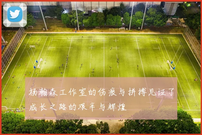 杨瀚森工作室的伤痕与拼搏见证了成长之路的艰辛与辉煌